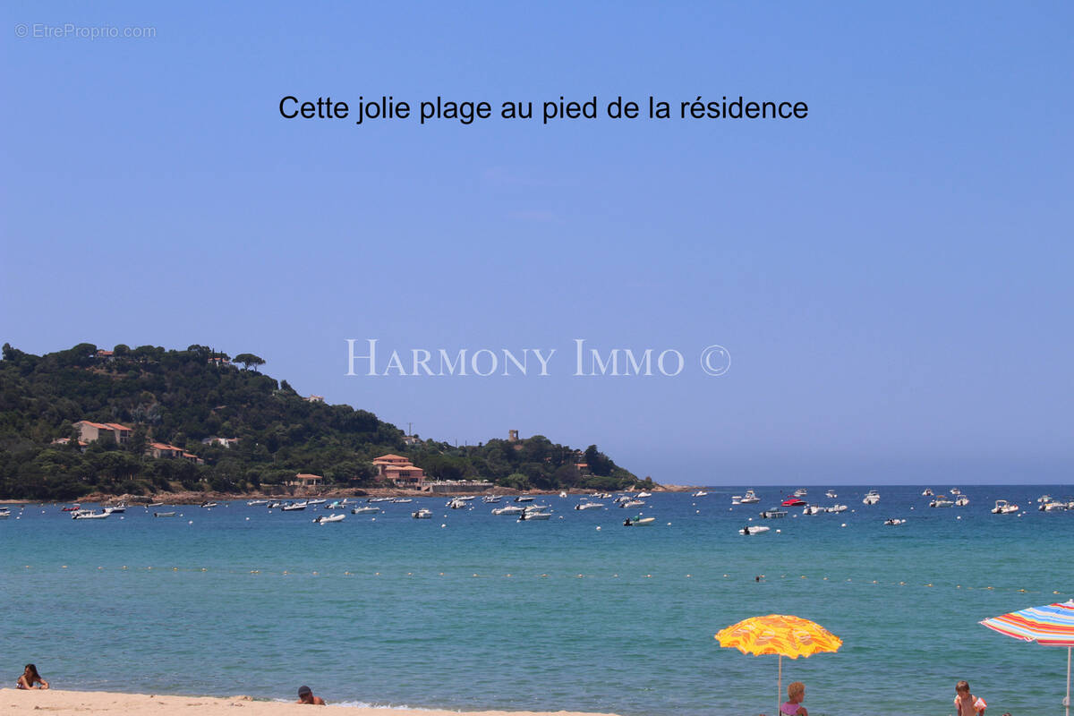 Appartement à CALCATOGGIO