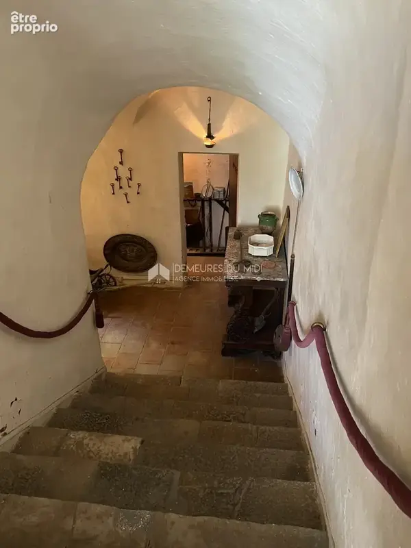 Maison de Maître 9 piéces avec jardin, cœur de village - photo 4