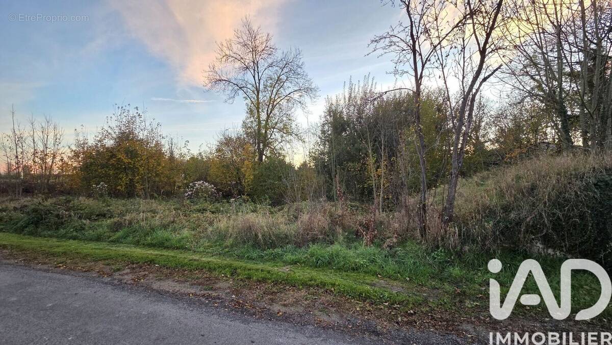 Photo 1 - Terrain à SOMME-SUIPPE