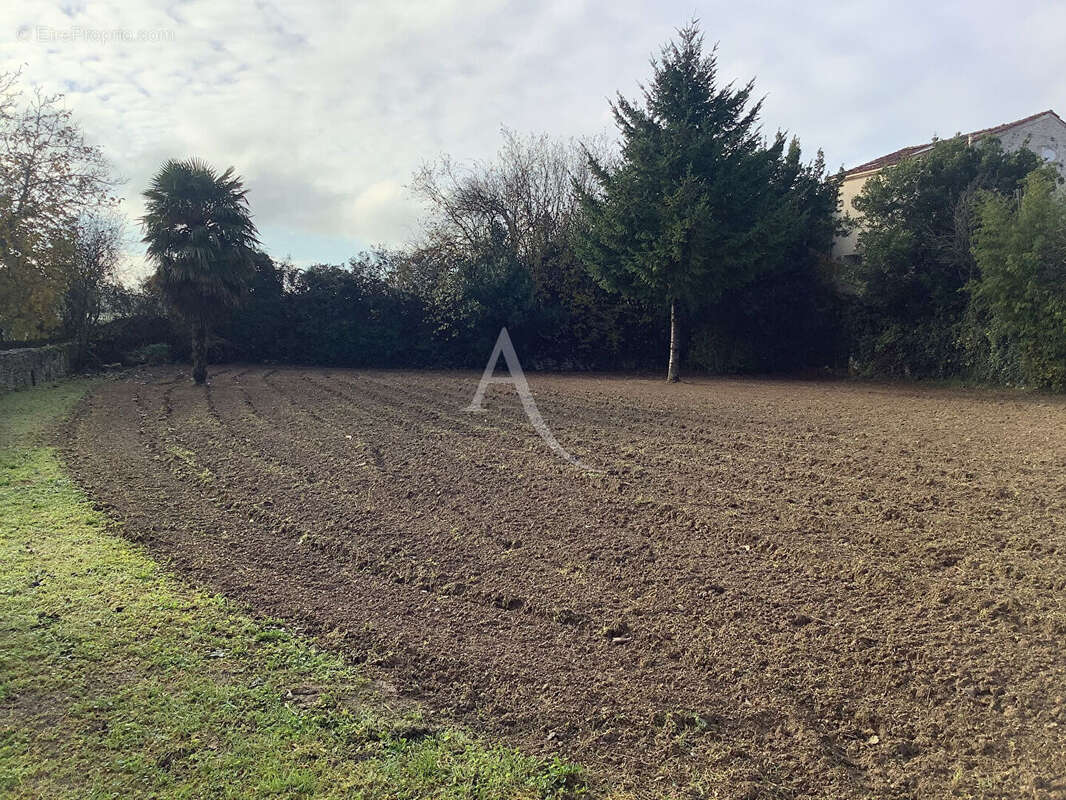Terrain à LONGEVES
