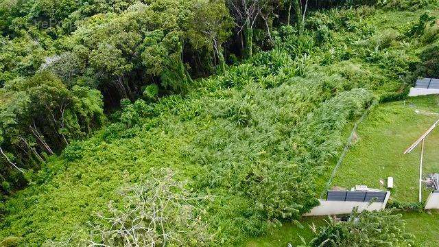 Terrain à RIVIERE-SALEE