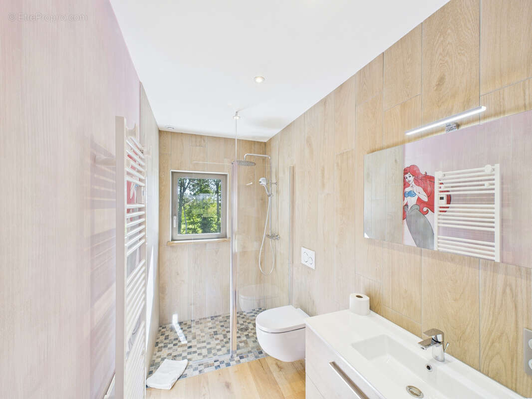 Maison à SOULTZ-HAUT-RHIN