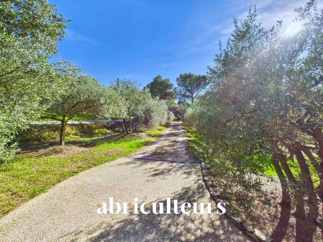 Maison à CHEVAL-BLANC