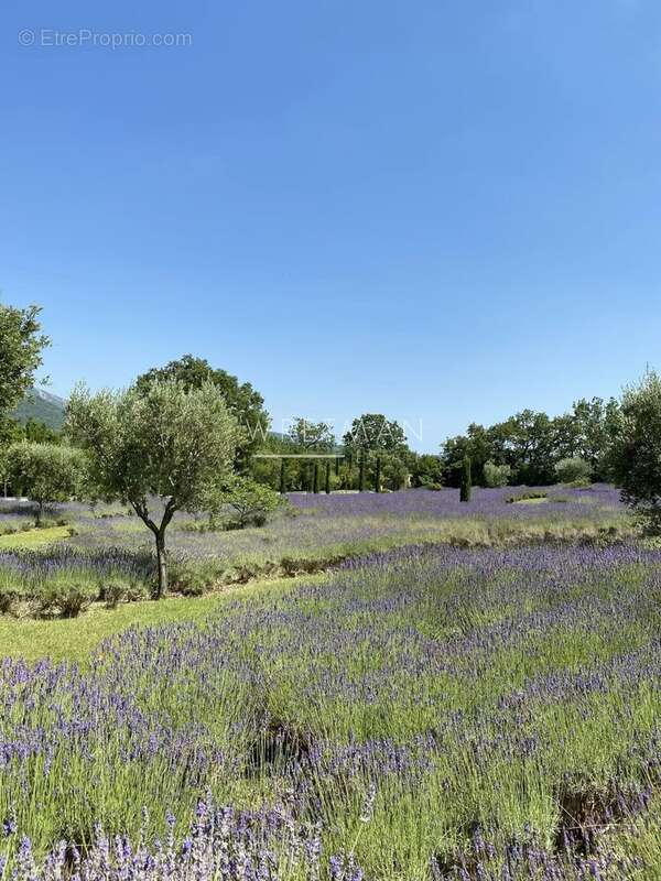 Magnifique propriété - Saint Vallier de Thiey - photo 28