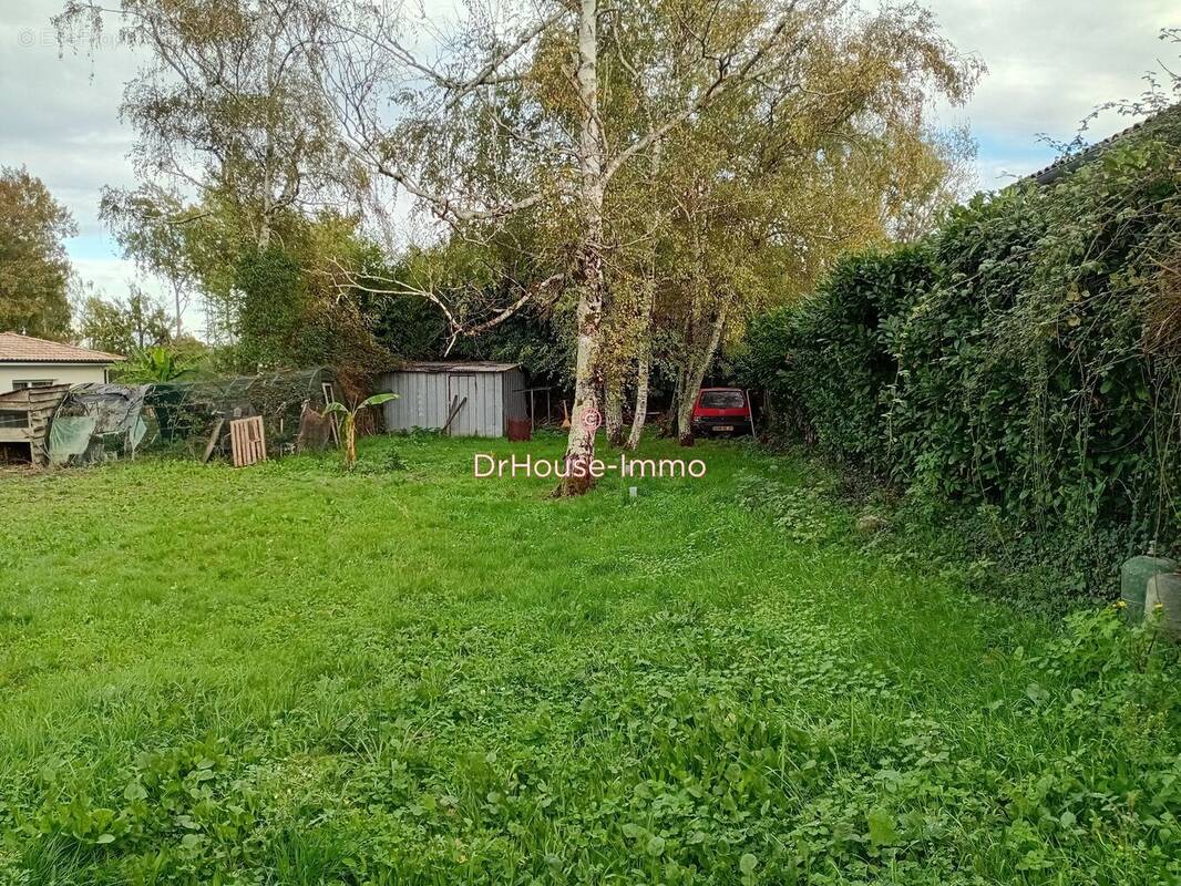 Terrain à SAINT-SULPICE-ET-CAMEYRAC
