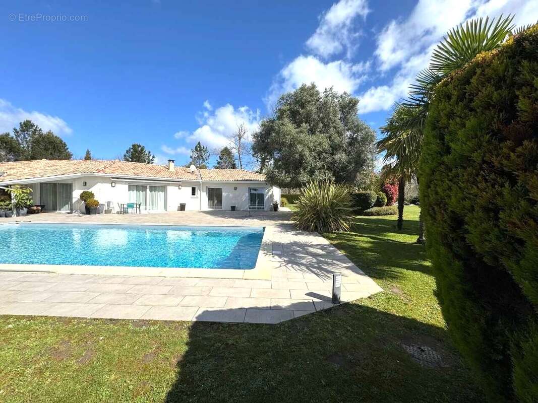 Photo-2025/030953-1-2 - Autre à MONT-DE-MARSAN