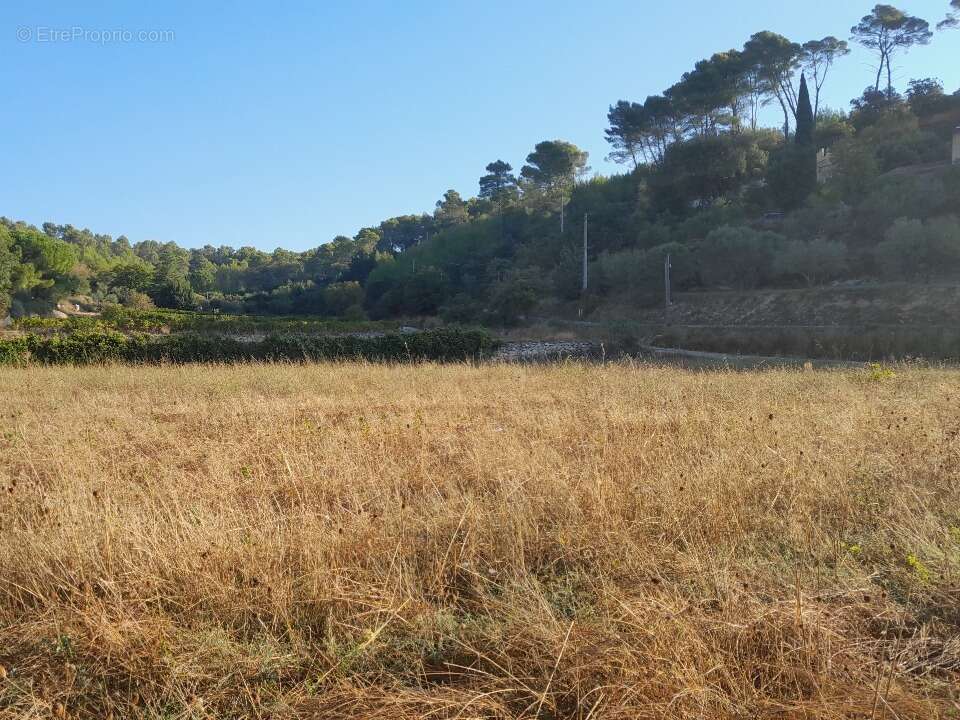 Terrain 1262 m² à Cotignac  - photo 3