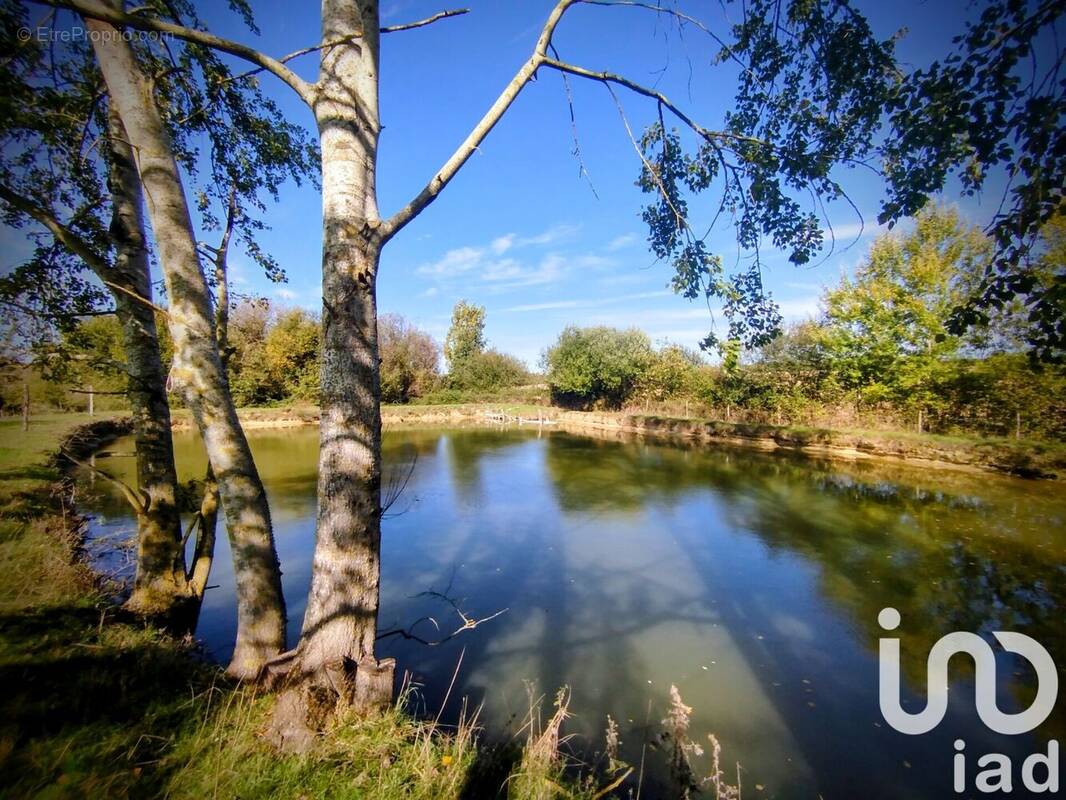 Photo 1 - Maison à SAINT-COLOMB-DE-LAUZUN