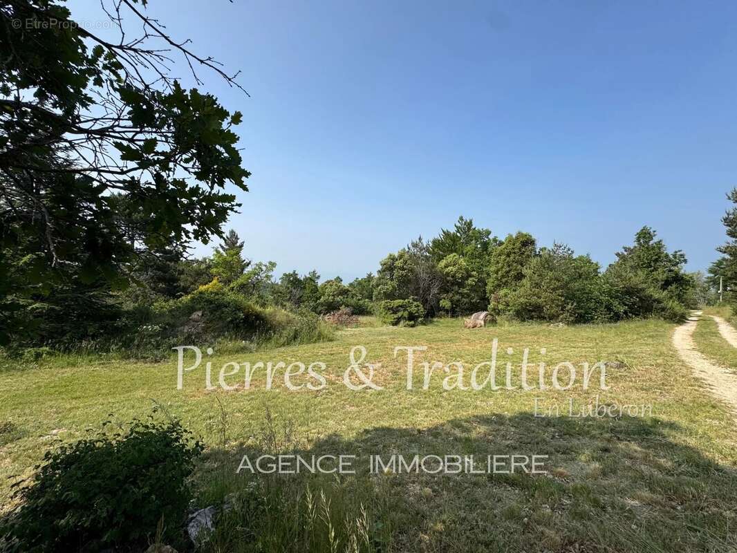 Provence, Luberon, magnifique ancienne ferme rénovée avec vue - photo 8