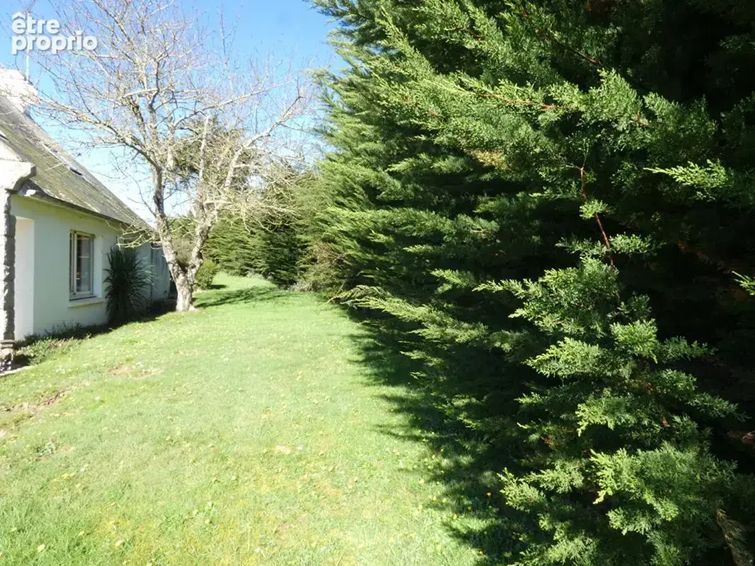BELLE OPPORTUNITE FONCIERE ! Terrain constructible de près de 3 000m2 - photo 9