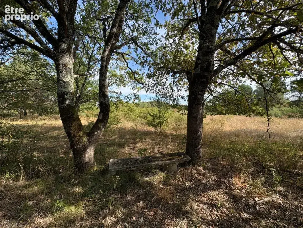 Terrain agricole - photo 5
