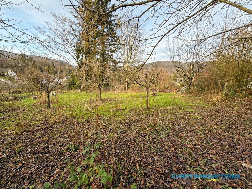 Appartement à NIEDERBRONN-LES-BAINS