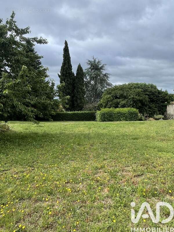 Terrain 887 m² à Martres  - photo 2