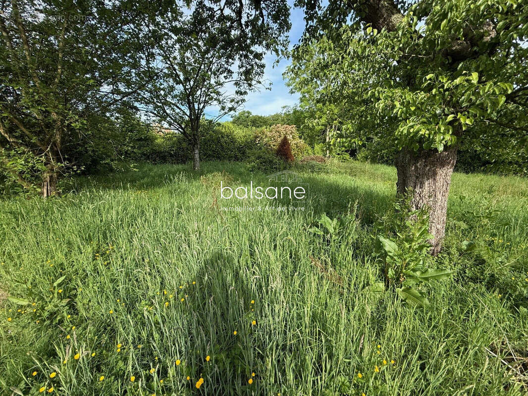 Terrain à VOISCREVILLE