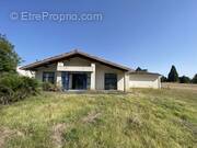 Commerce à MONTREJEAU