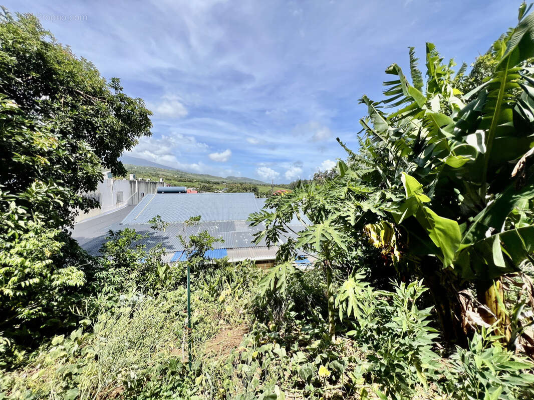 Maison à PETITE-ILE