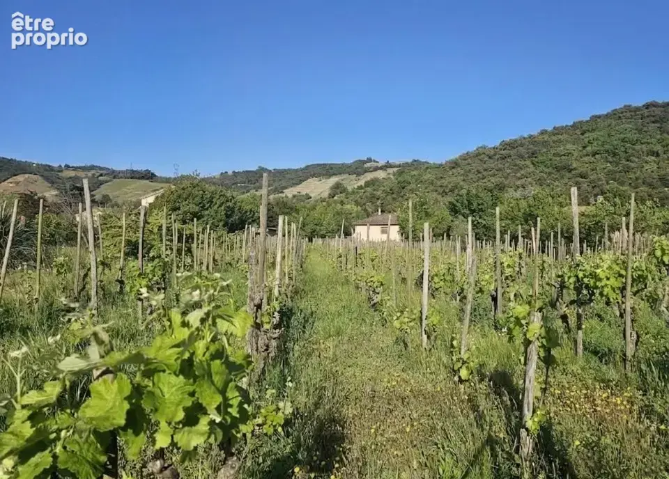 Terrain 416 m² à Cornas  - photo 5