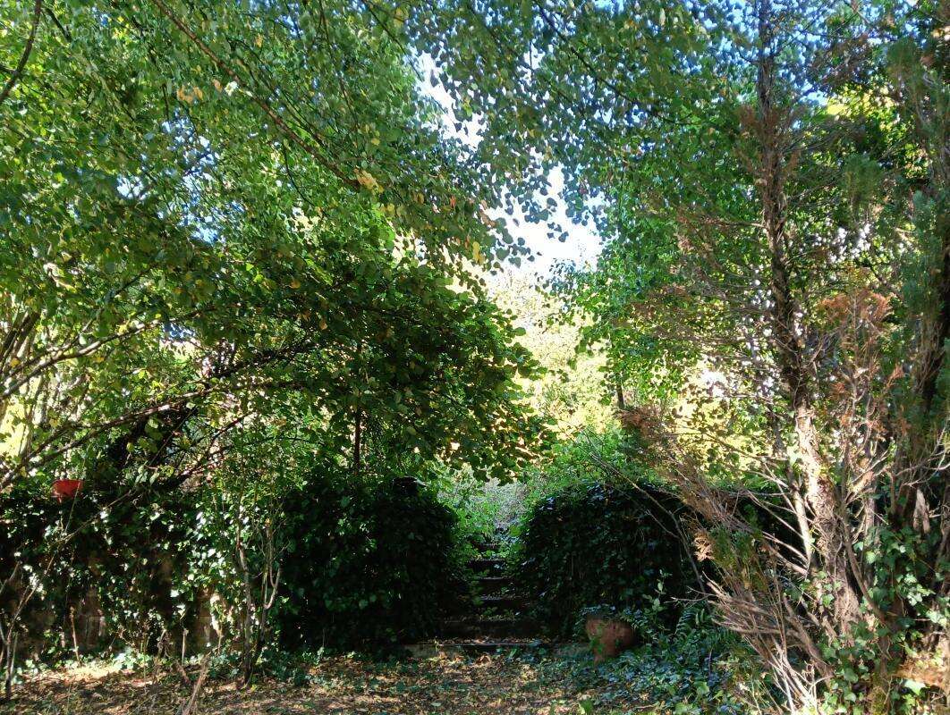 DECAZEVILLE - Maison de Maître 4 Chambres Jardin Garages Local Professionnel Cave - photo 15
