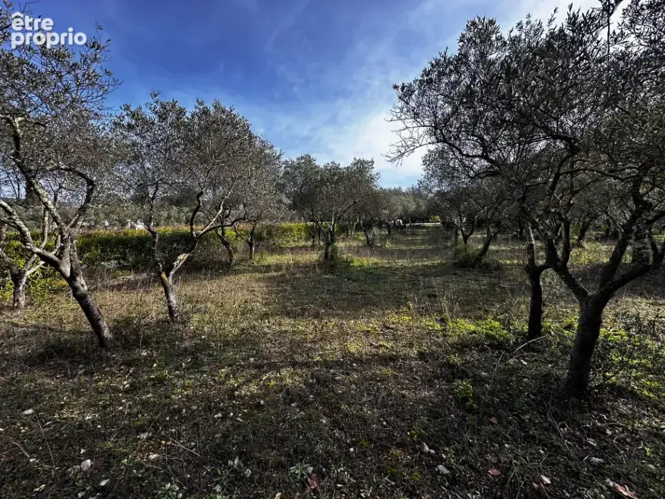 Terrain 2000 m² à Lorgues  - photo 2