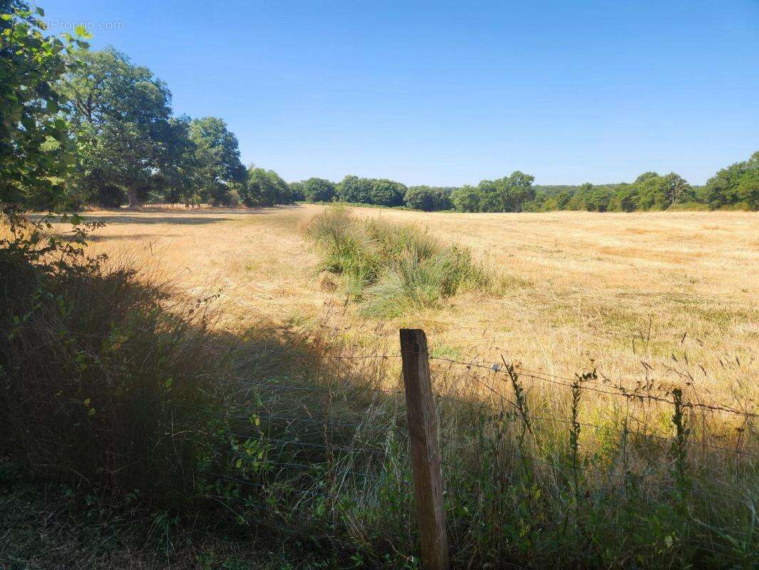 Maison à ASNIERES-SUR-BLOUR