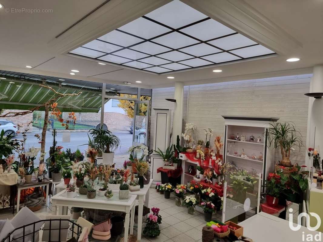 Photo 2 - Commerce à ANCENIS