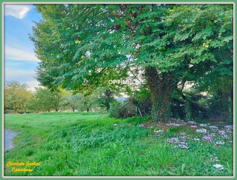 Maison à VILLEBOIS-LAVALETTE