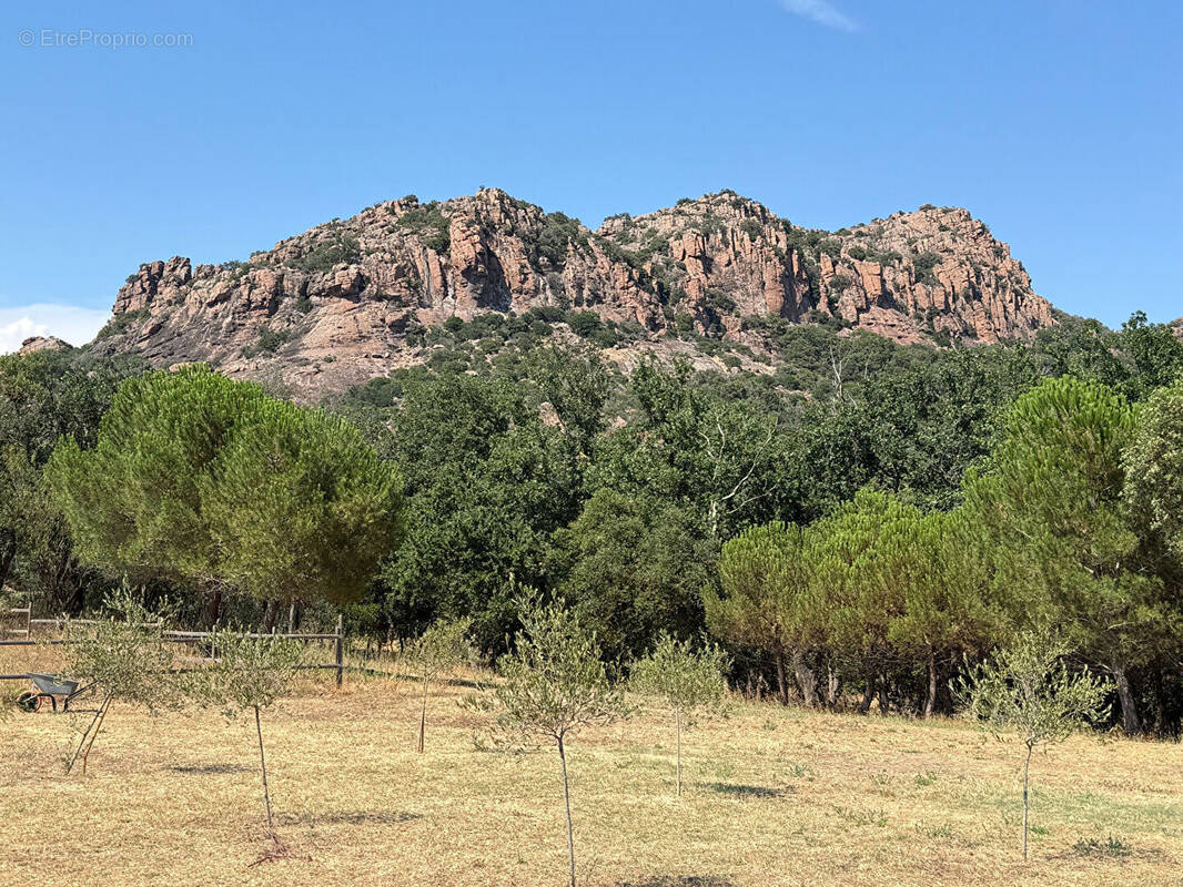 Maison à ROQUEBRUNE-SUR-ARGENS