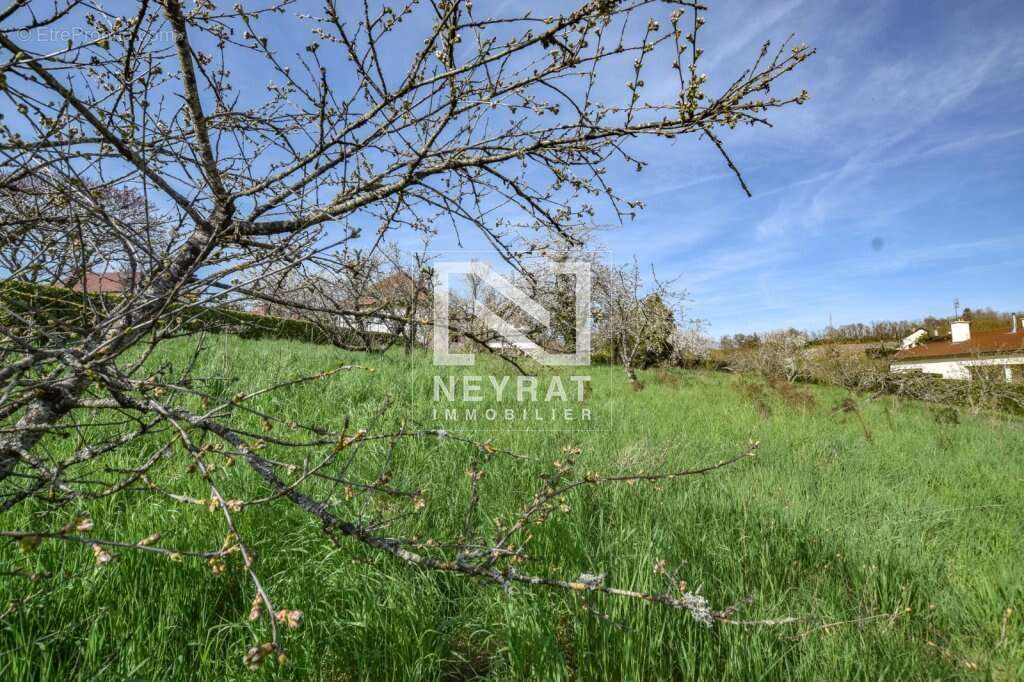 Cote chalonnaise - photo 2