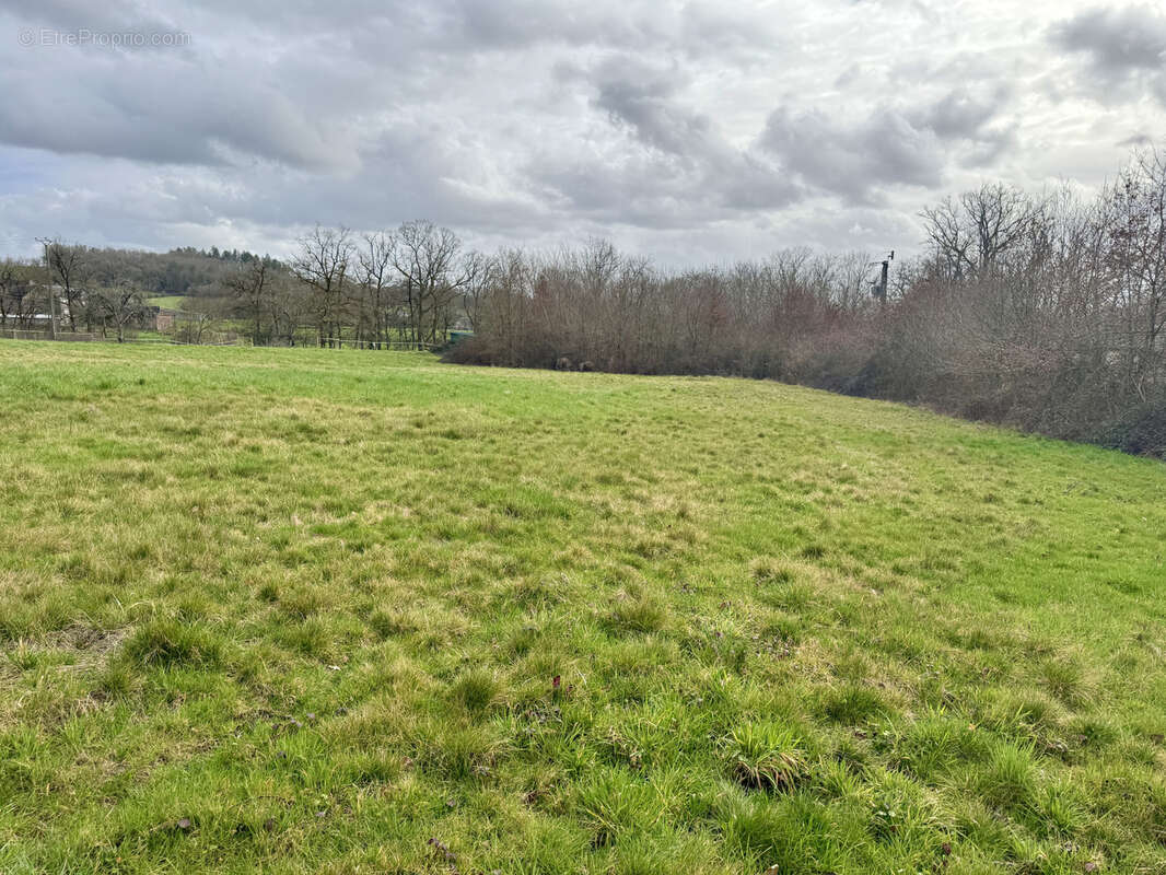 Terrain à SAINT-VIANCE