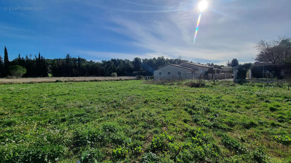 Terrain à ESCALES