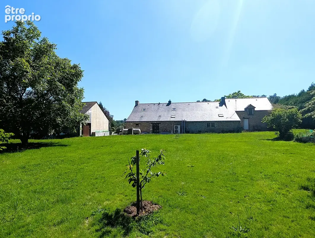 Propriété de 10 000 m2 - photo 19