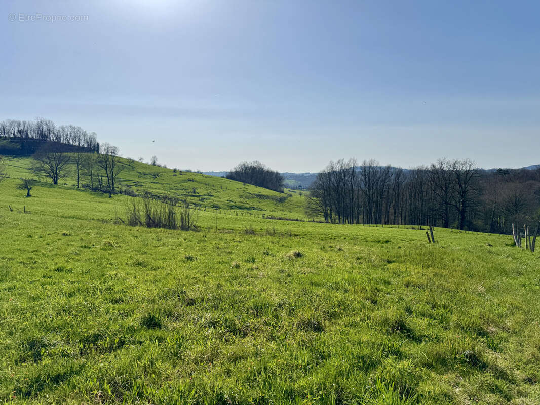 Terrain à ALLASSAC