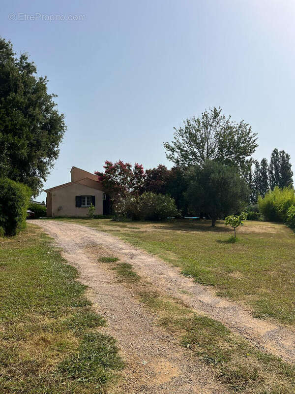Maison Castellare Di Casinca 4 pièces 166 m2 avec terrain 1930 m2 - photo 5