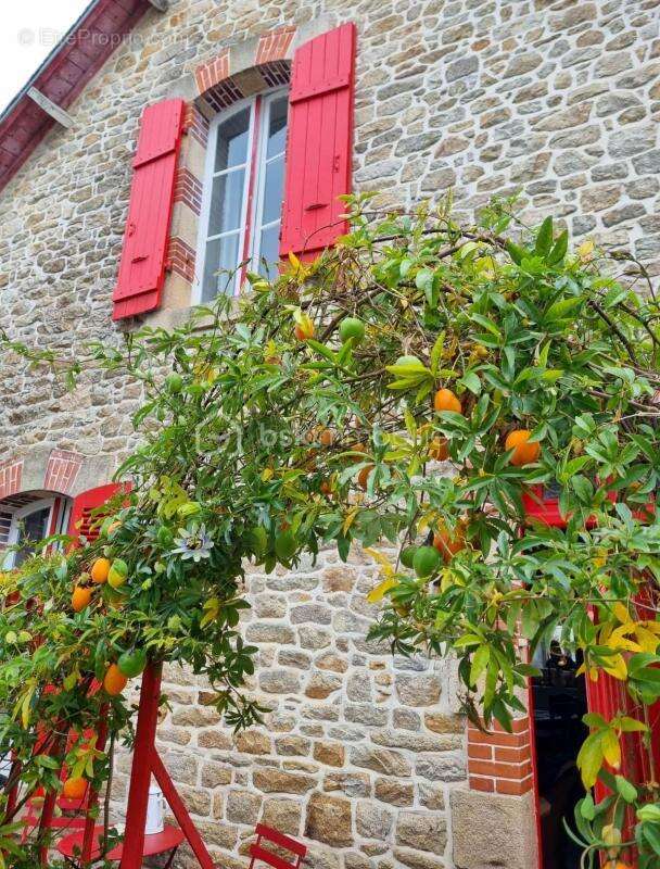 Maison à ILE-AUX-MOINES