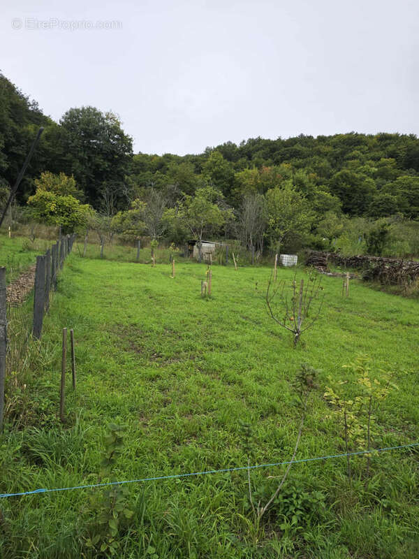 Terrain à SAINT-MAURICE-SOUS-LES-COTES