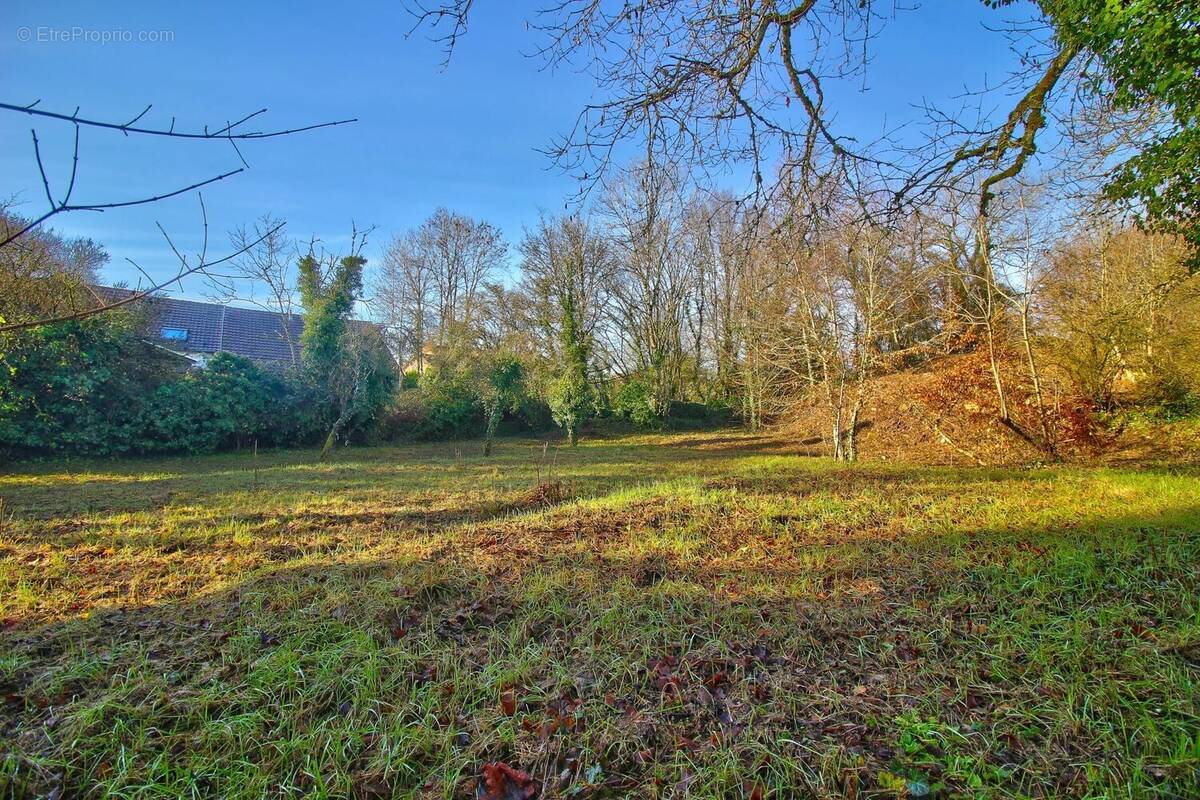 Terrain à SOMBERNON