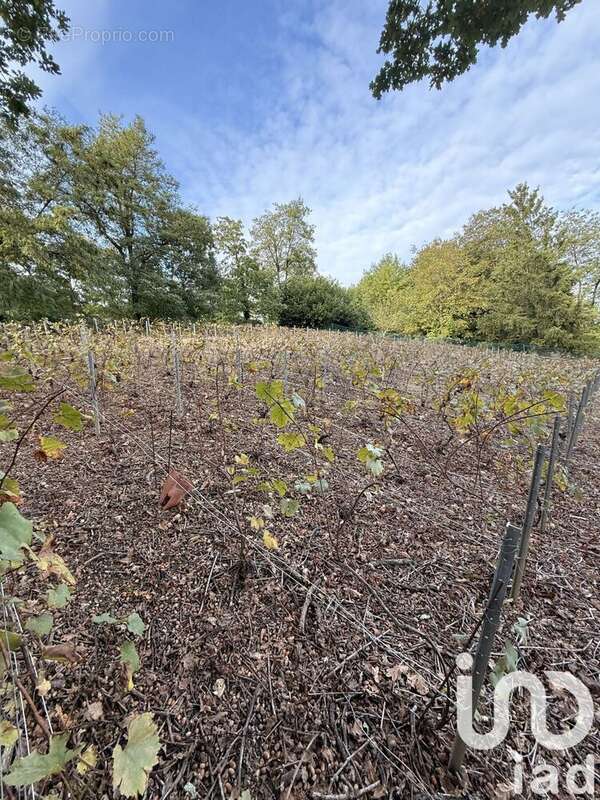 Photo 6 - Terrain à CHATEAU-THIERRY