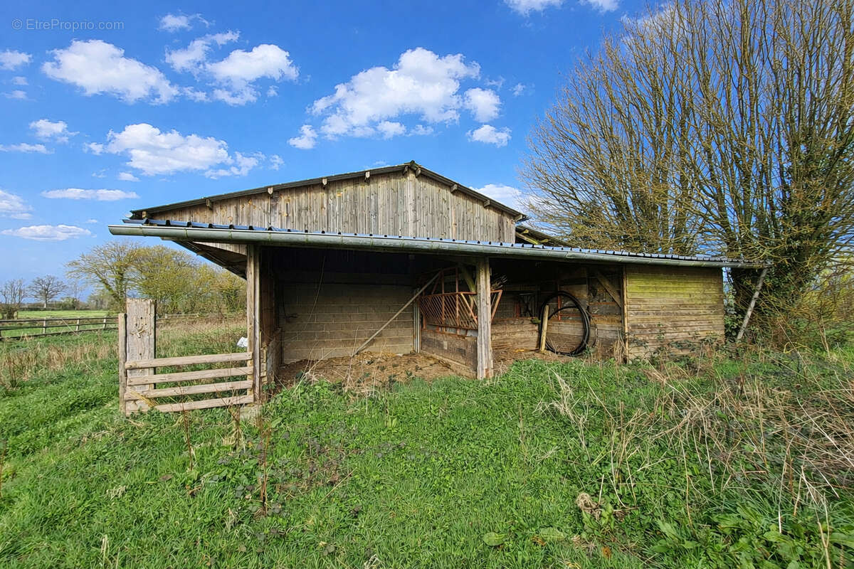 Terrain à LA FERTE-FRENEL