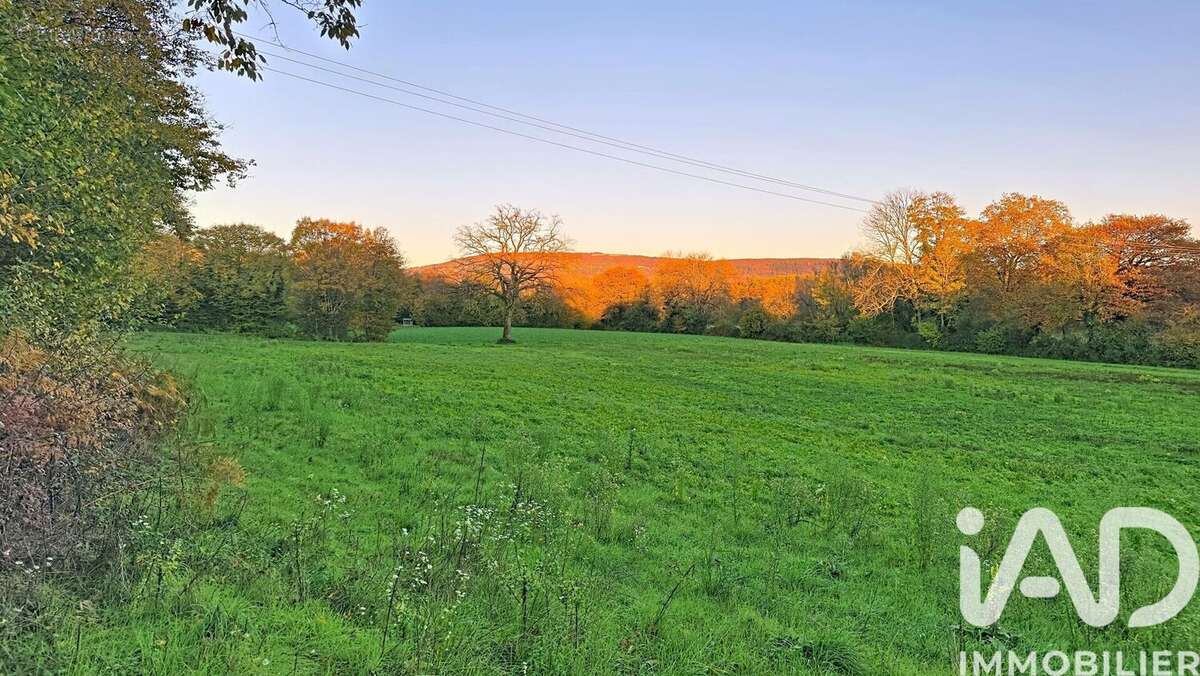 Photo 2 - Terrain à MONTAGNAT