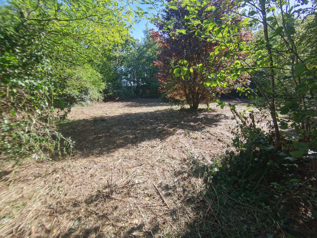 Maison à SAINT-CLAUD