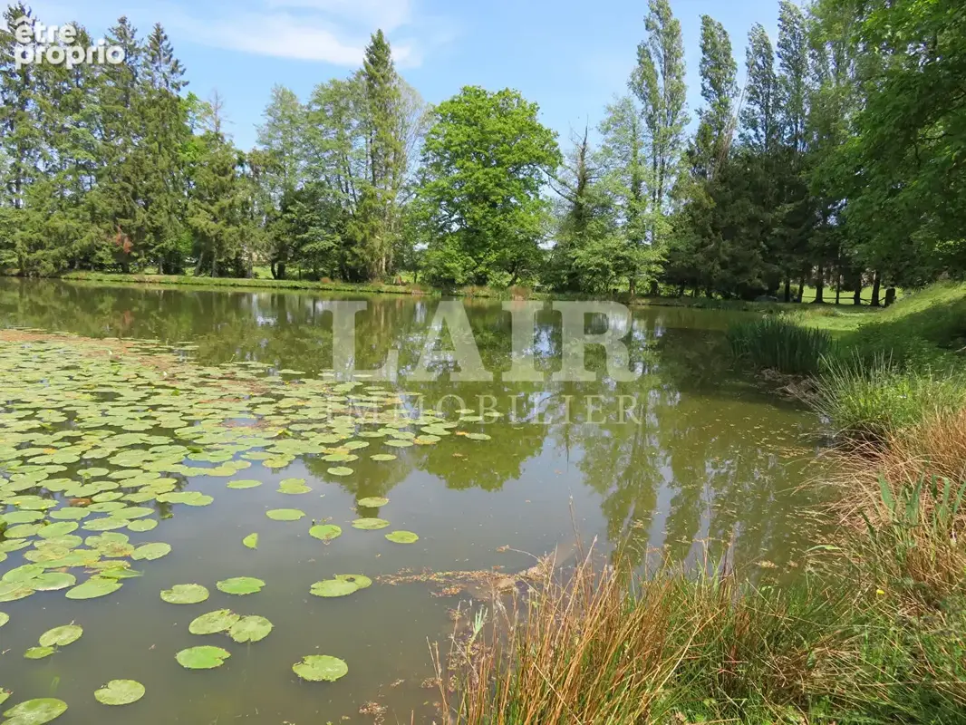 Propriété sur 1,2 hectare avec étang à vendre à Pre En Pail  - Réf: A15157 - photo 12