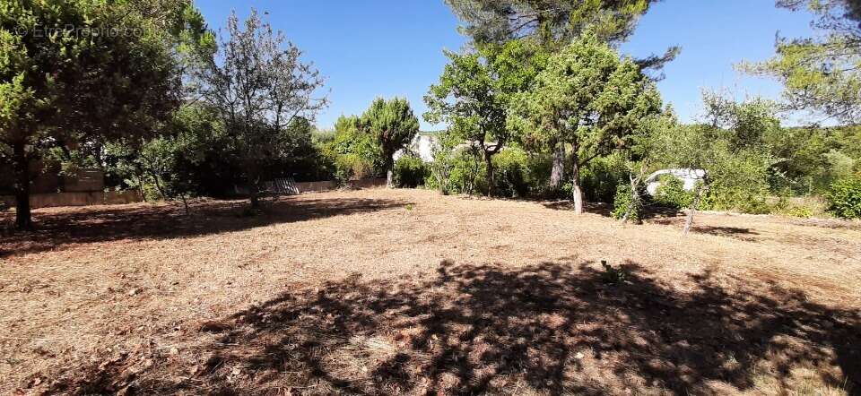 Terrain à DRAGUIGNAN