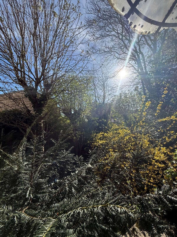 Commerce à MONTREUIL