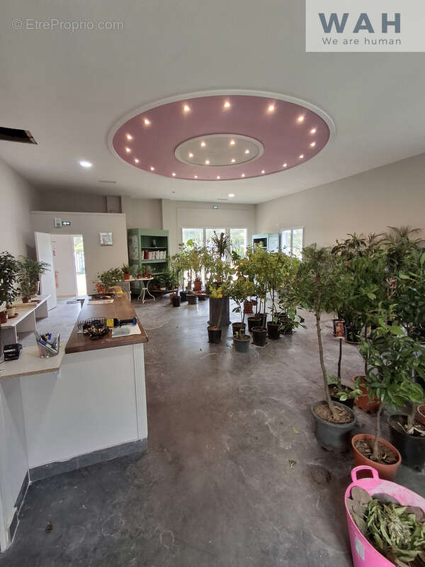 Local commercial - 240m2 - Sauve - photo 17