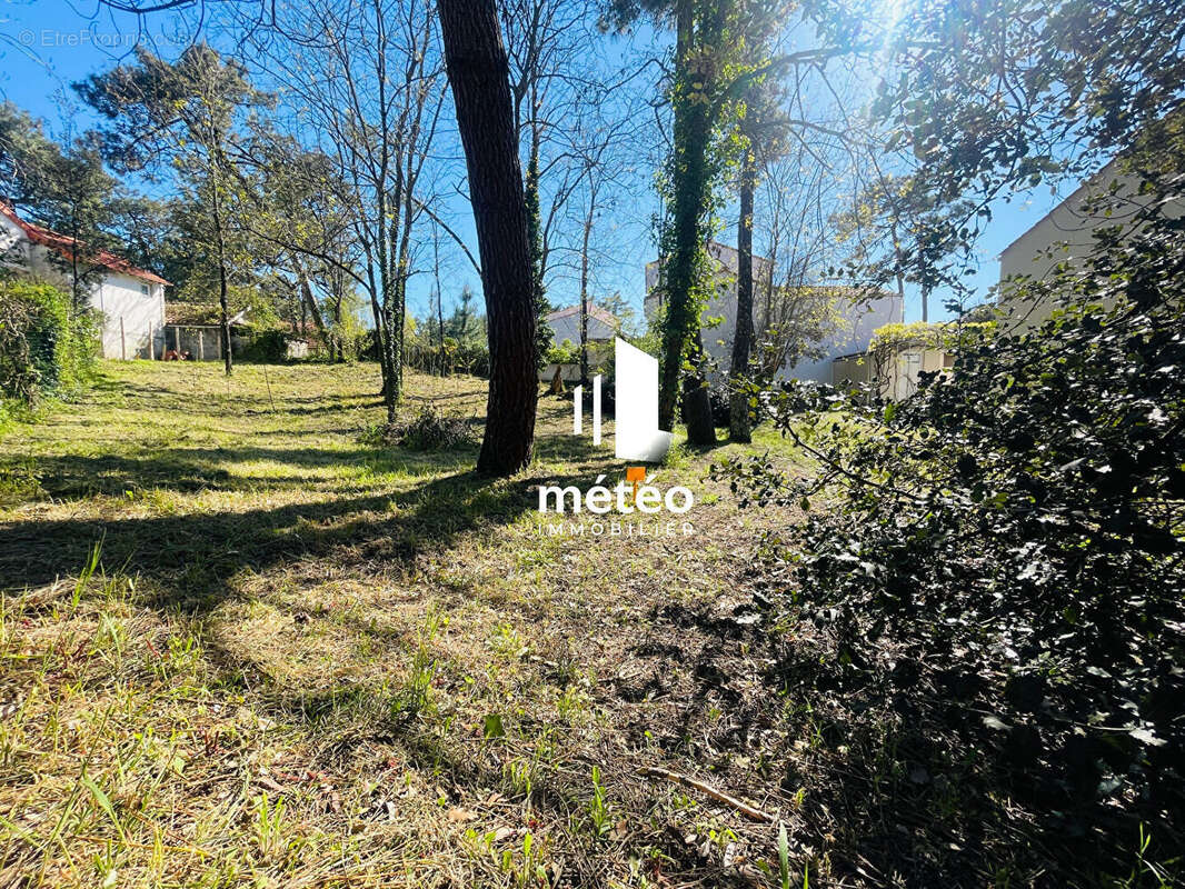 Terrain à LA TRANCHE-SUR-MER