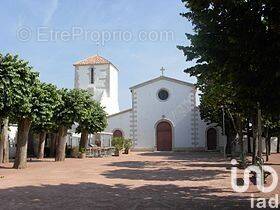 Photo 1 - Terrain à LOIX