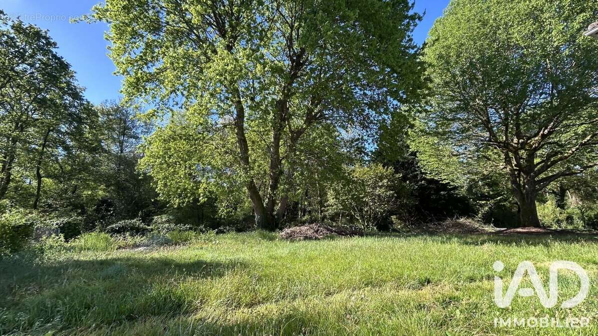 Photo 3 - Maison à BRETAGNE-DE-MARSAN