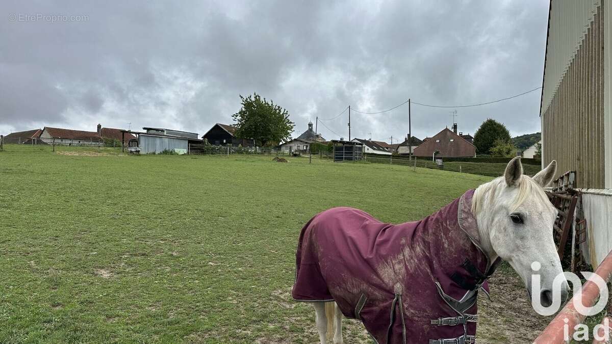 Photo 8 - Terrain à SOULIGNY