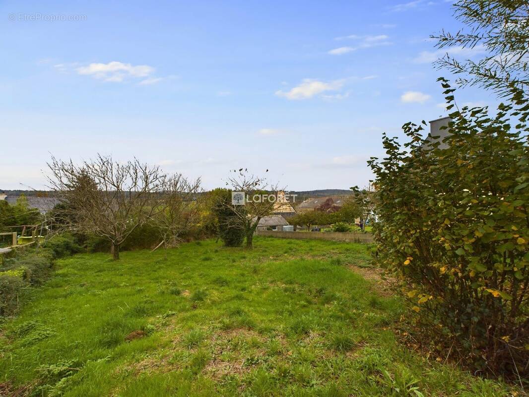 Terrain à PLOMODIERN