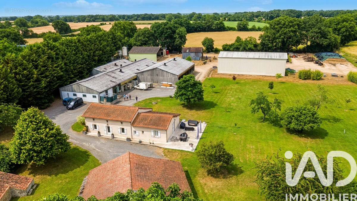 Photo 1 - Maison à VASLES